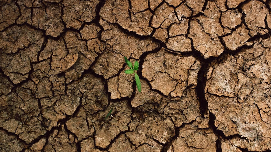 Dünya Bankası kapıdaki tehlikeye dikkat çekti: 280 milyon insanın ihtiyacı... 280 milyon insanın ihtiyacını karşılayabilir: 280 milyon insanın ihtiyacı... - 2. Resim