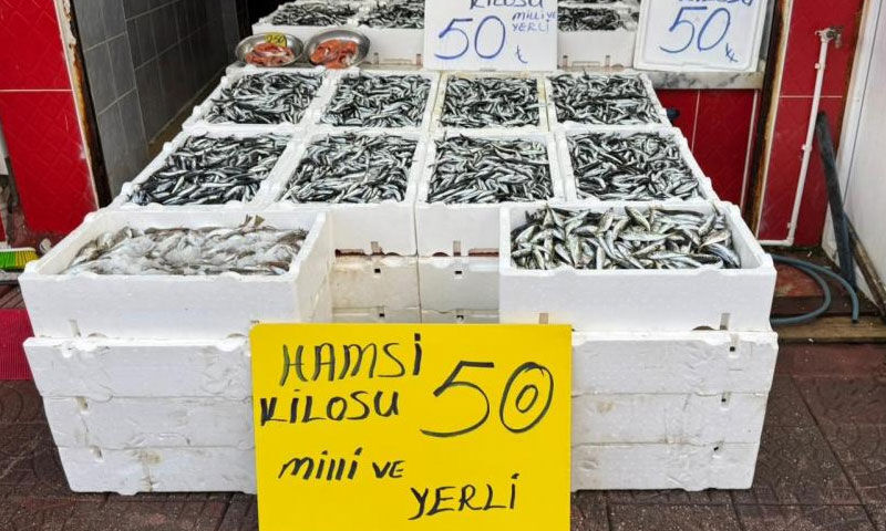 Hamside rekor bolluk: Tezgahta 50 TL’den taze taze satılıyor - 2. Resim