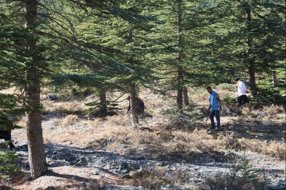 Japonya, Çin ve Güney Kore kapımıza dizildi! Kadınlar sabah ezanında toplamaya gidiyor Japonya, Çin ve Güney Kore kapımıza dizildi! Kadınlar sabah ezanında toplamaya gidiyor - 4. Resim