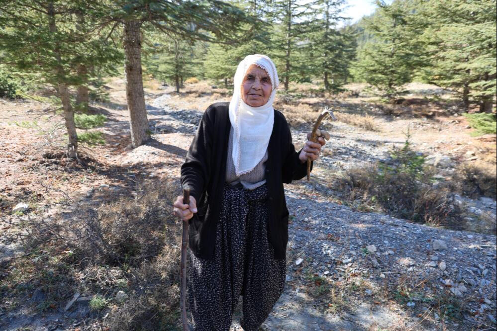 Japonya, Çin ve Güney Kore kapımıza dizildi! Kadınlar sabah ezanında toplamaya gidiyor Japonya, Çin ve Güney Kore kapımıza dizildi! Kadınlar sabah ezanında toplamaya gidiyor - 3. Resim