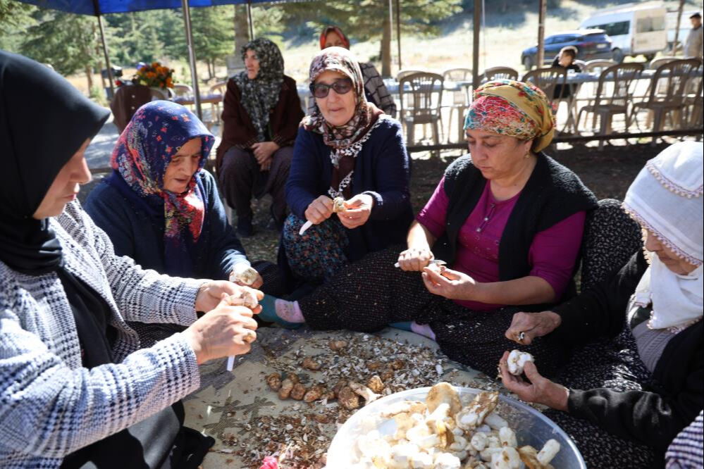Japonya, Çin ve Güney Kore kapımıza dizildi! Kadınlar sabah ezanında toplamaya gidiyor Japonya, Çin ve Güney Kore kapımıza dizildi! Kadınlar sabah ezanında toplamaya gidiyor - 1. Resim