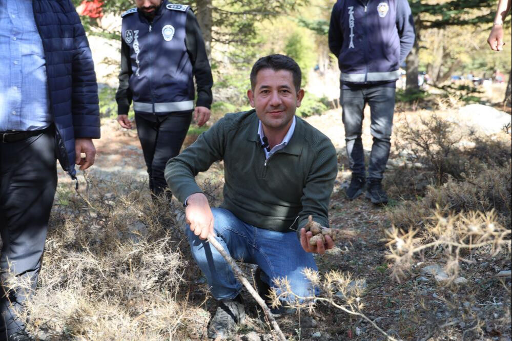 Japonya, Çin ve Güney Kore kapımıza dizildi! Kadınlar sabah ezanında toplamaya gidiyor Japonya, Çin ve Güney Kore kapımıza dizildi! Kadınlar sabah ezanında toplamaya gidiyor - 5. Resim