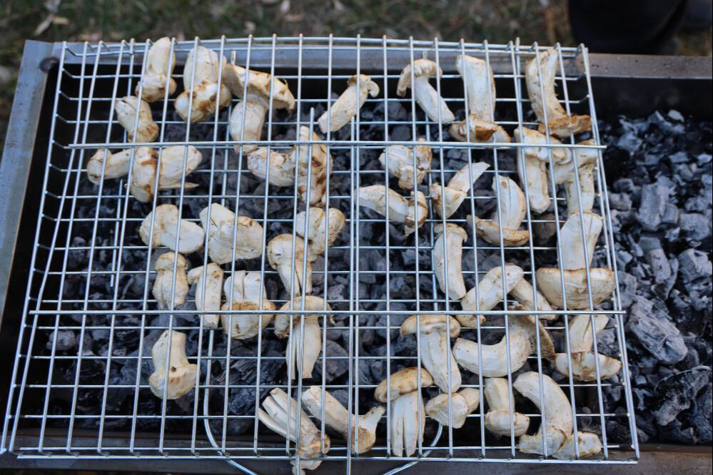 Japonya, Çin ve Güney Kore kapımıza dizildi! Kadınlar sabah ezanında toplamaya gidiyor Japonya, Çin ve Güney Kore kapımıza dizildi! Kadınlar sabah ezanında toplamaya gidiyor - 2. Resim