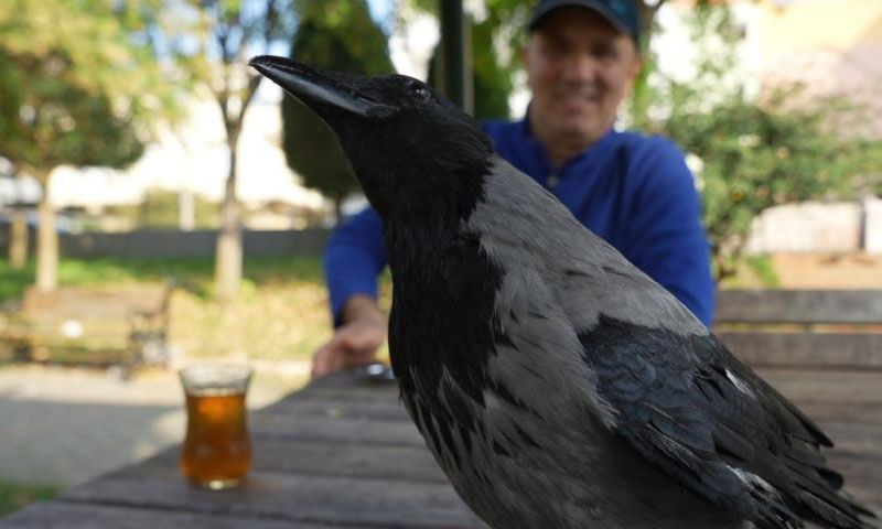 Karga Şakir 3. evladı oldu! Çay içiyor, Rize helvasını çok seviyor - 2. Resim
