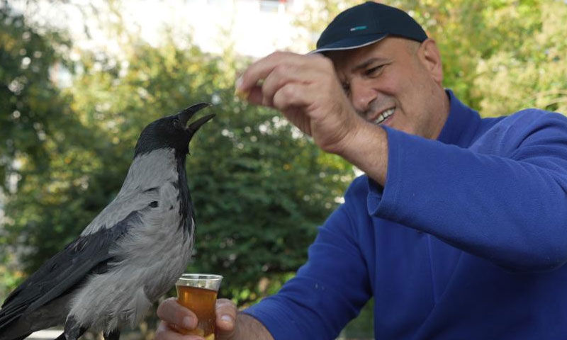 Karga Şakir 3. evladı oldu! Çay içiyor, Rize helvasını çok seviyor - 4. Resim