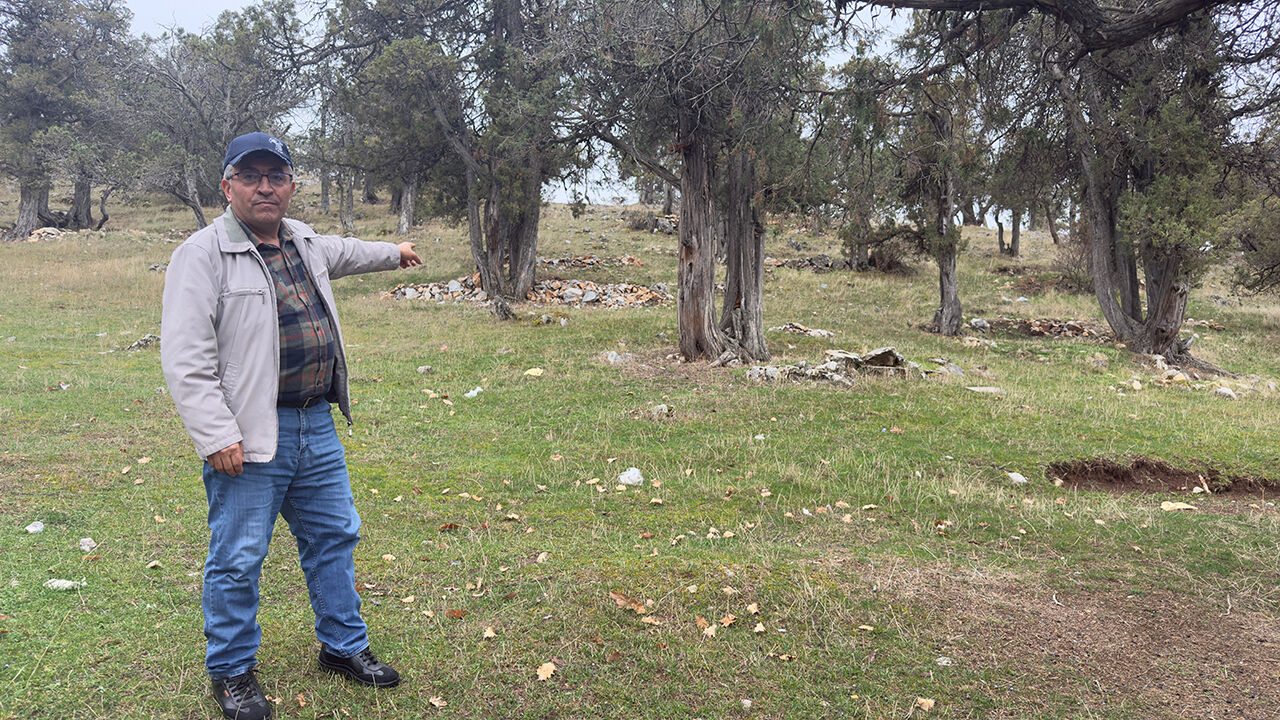 Türkiye'nin en ilginç ormanı: Asırlardır balta girmiyor, kuruyan ağaçlar bile ormanda bırakılıyor - 2. Resim