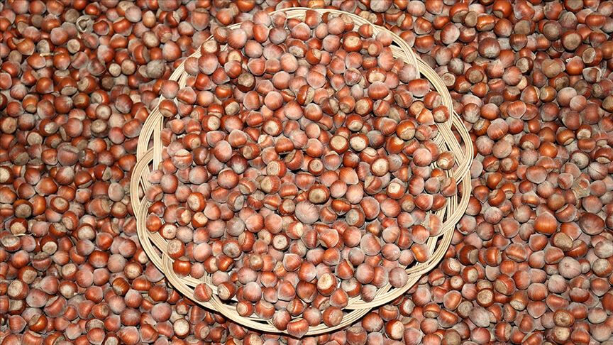 Rekabet Kurulu'ndan Ferrero kararı! Fındık alım zorunluluğu 15 bin ton azaldı 15 bin ton azaldı! Rekabet Kurulu, Ferrero'nun fındık alım zorunluluğunu aşağıya çekti - 1. Resim