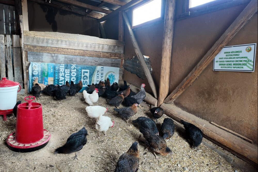 Bolu'da 44 kadın 2 milyon liralık hibe destekli kredi aldı Bolu'da 44 kadın 2 milyon liralık hibe destekli kredi aldı - 3. Resim