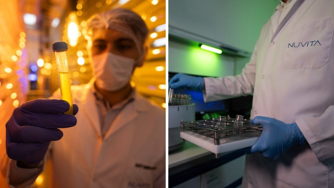 Esenyurt’a yeni fabrika, Kazakistan’a 40 milyon dolar! Orzax ihracatta %35 pay hedefliyor Esenyurt’a yeni fabrika, Kazakistan’a 40 milyon dolar! Orzax ihracatta %35 pay hedefliyor