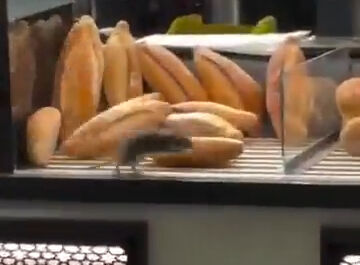 Romanya'da ekmek tezgahında mide bulandıran görüntüler! Sosyal medya ayaklandı Romanya'da ekmek tezgahında mide bulandıran görüntüler! Sosyal medya ayaklandı - 1. Resim