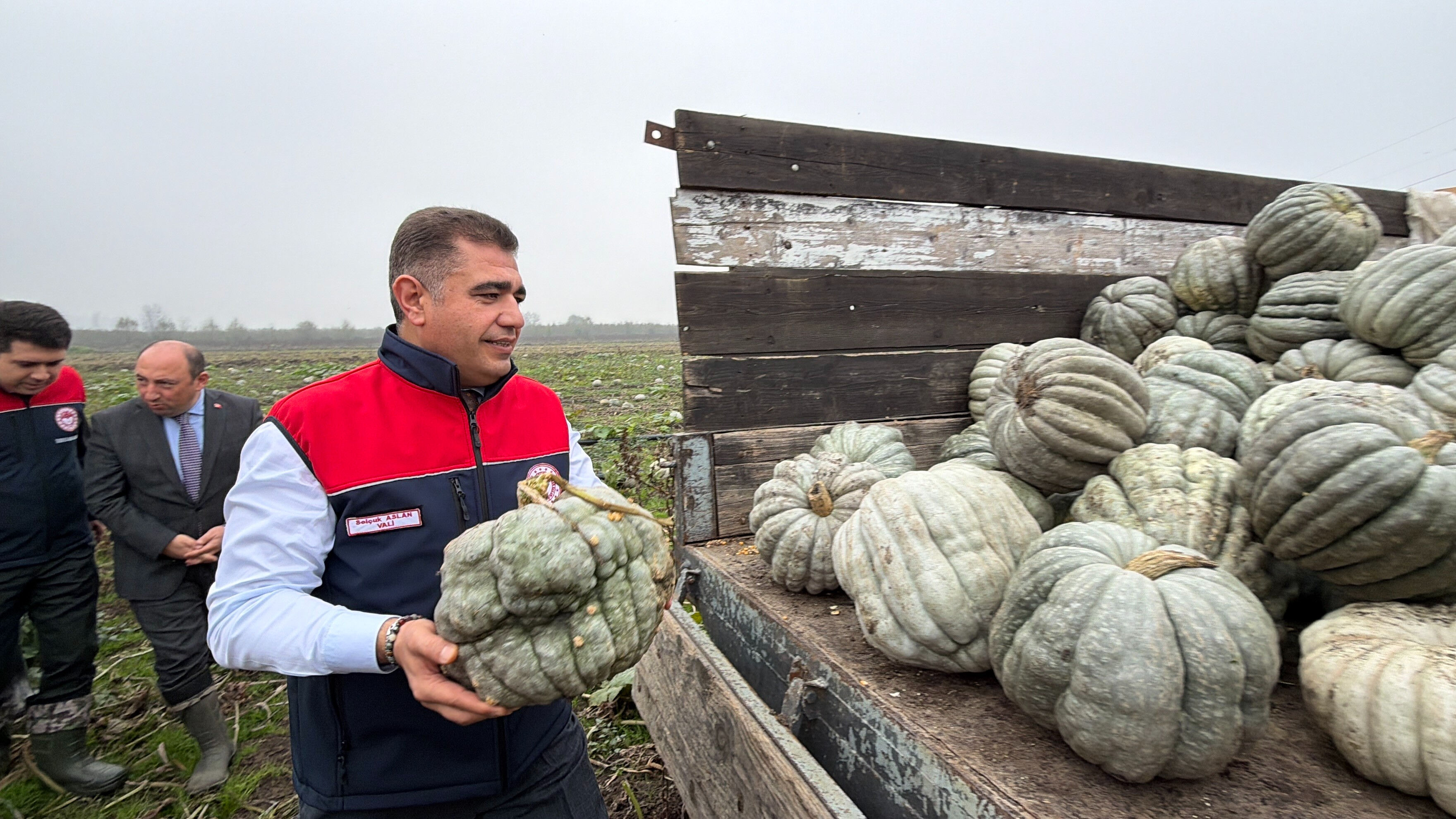 Düzce'nin coğrafi işaretli lezzetinde hasat başladı! İlk ürünü kaymakam topladı - 2. Resim