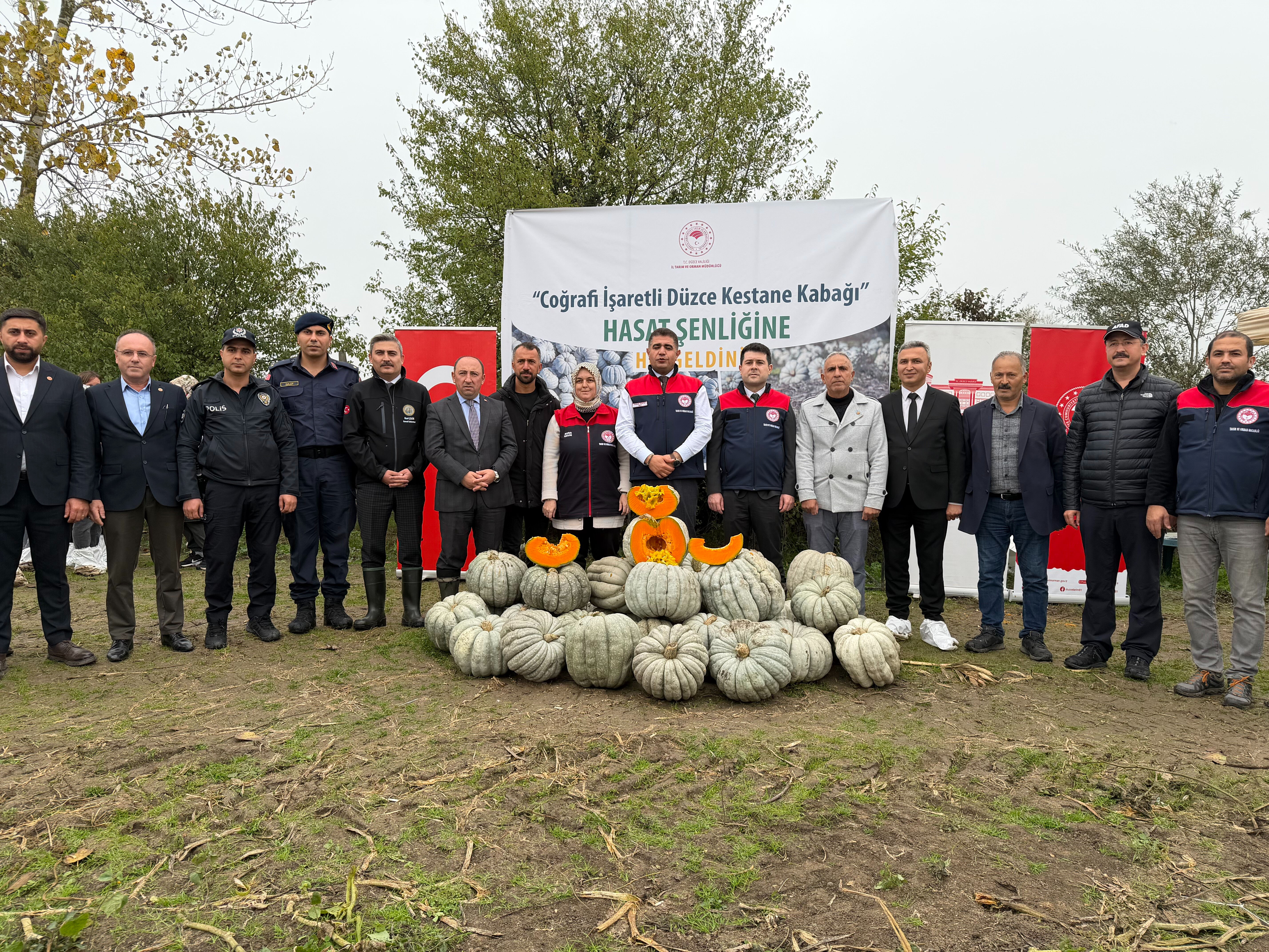Düzce'nin coğrafi işaretli lezzetinde hasat başladı! İlk ürünü kaymakam topladı - 1. Resim