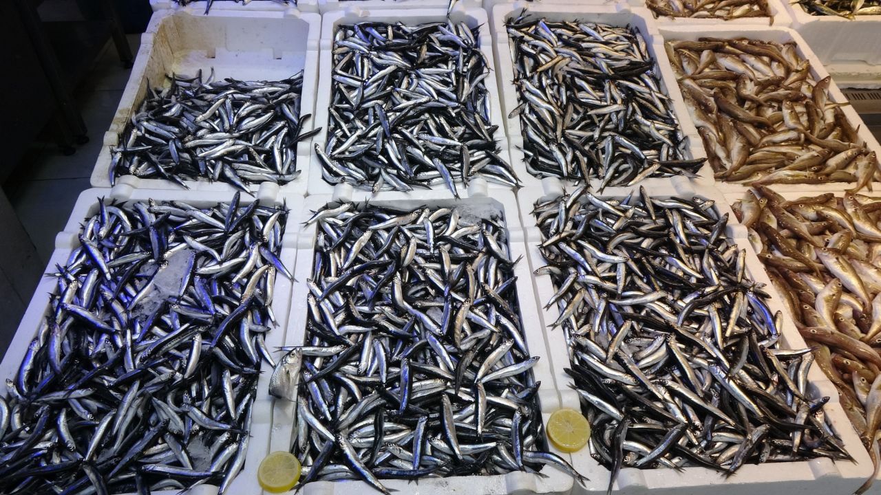 Hamsi ihracatına 'boy' engeli! Avrupa küçük buldu - Ekonomi