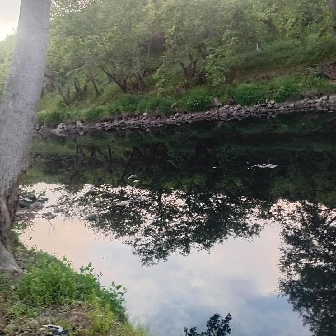 Marmara’ya giden ölüm hattı! "Burada oksijen kalmadı" diyen bilim adamı isyan etti - 3. Resim