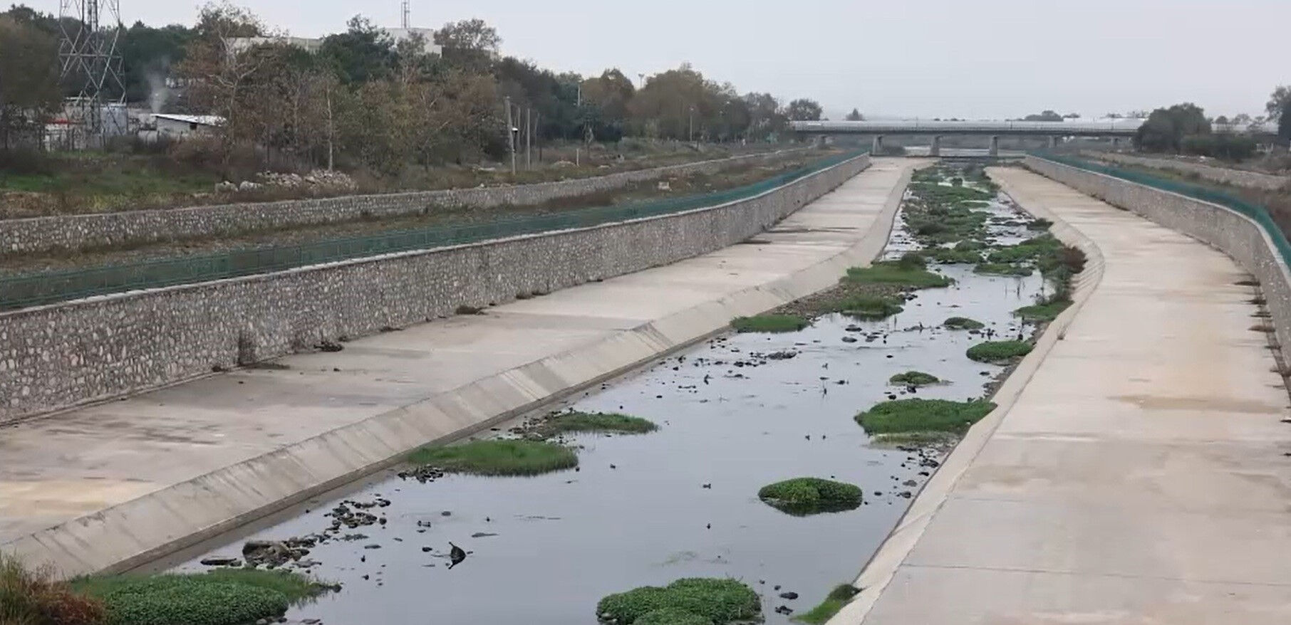Marmara’ya giden ölüm hattı! "Burada oksijen kalmadı" diyen bilim adamı isyan etti - 2. Resim