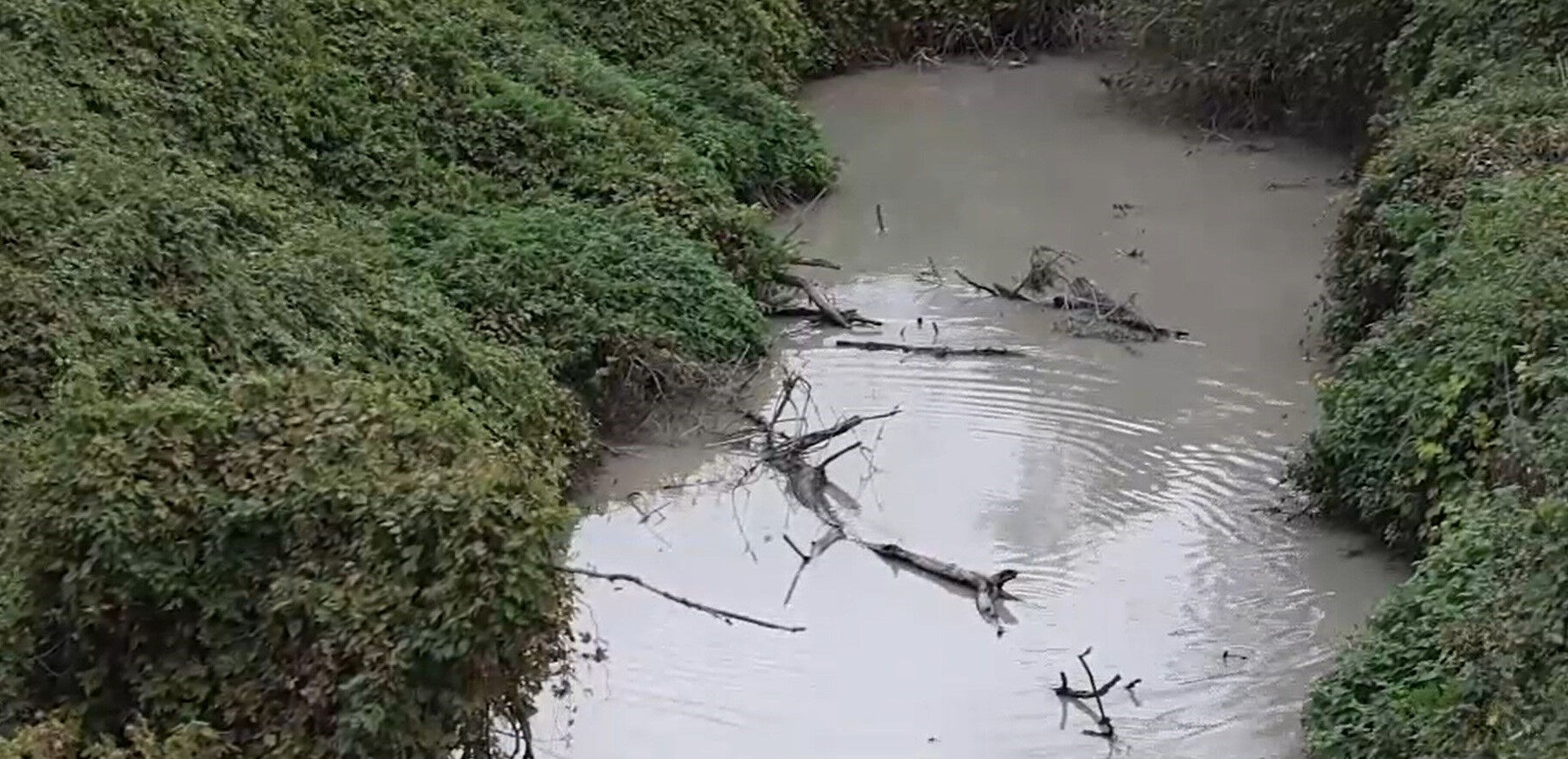 Marmara’ya giden ölüm hattı! "Burada oksijen kalmadı" diyen bilim adamı isyan etti - 1. Resim
