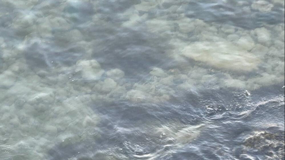 Suları çekilen Eğirdir Gölü'nden alevler yükseldi! Çakmağı yakınca fark etti Suları çekilen Eğirdir Gölü'nden alevler yükseldi! - 3. Resim