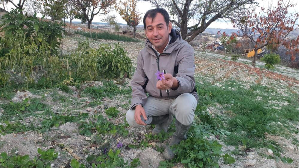 İlk defa denedi, başarılı oldu! 150 gram ürün elde etti İlk defa denedi, başarılı oldu! 150 gram ürün elde etti - 1. Resim