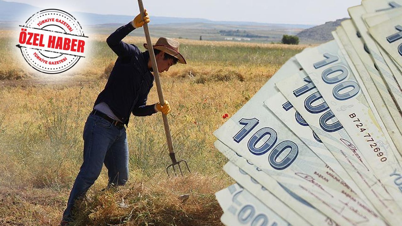 Köye dönüş için kesenin ağzı açıldı! Kırsal nüfustaki azalma alarm veriyor Köye dönüş için kesenin ağzı açıldı! Kırsal nüfustaki azalma alarm veriyor