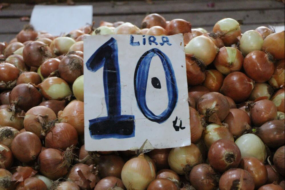 Amasya'da soğan bereketi! Üretimi rekor kırdı, fiyatı 7 aydır değişmedi - 2. Resim