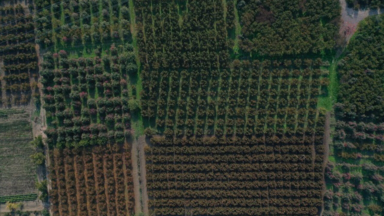 Barajların kuruduğu ilimizde korkutan gelişme! Kriz derinleşiyor, can kaybı riski var - 1. Resim