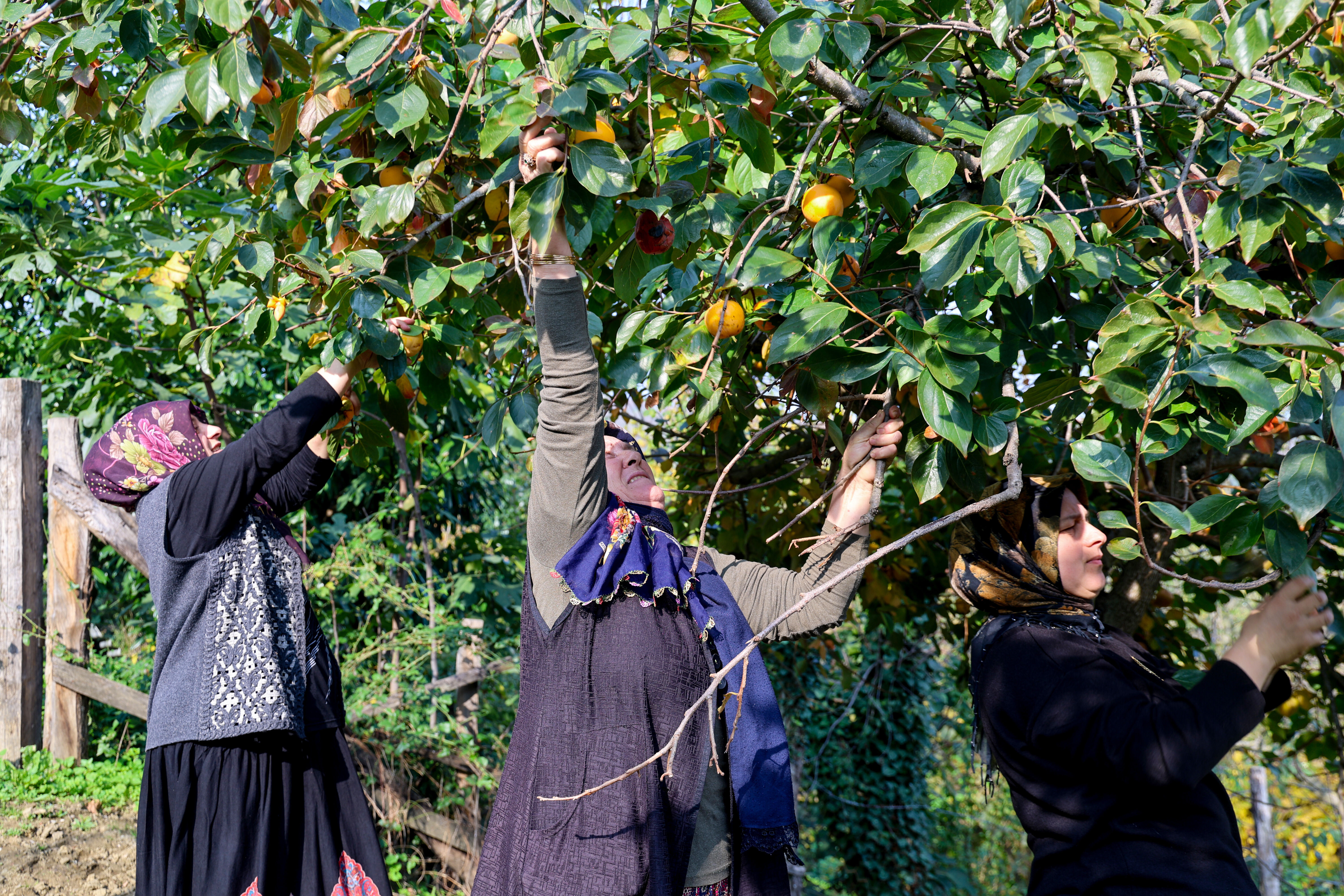 Ev hanımlarının yeni gelir kapısı! Sipariş yağıyor, kilosu 600 liradan satılıyor Ev hanımlarının yeni gelir kapısı! Sipariş yağıyor, kilosu 600 liradan satılıyor - 2. Resim