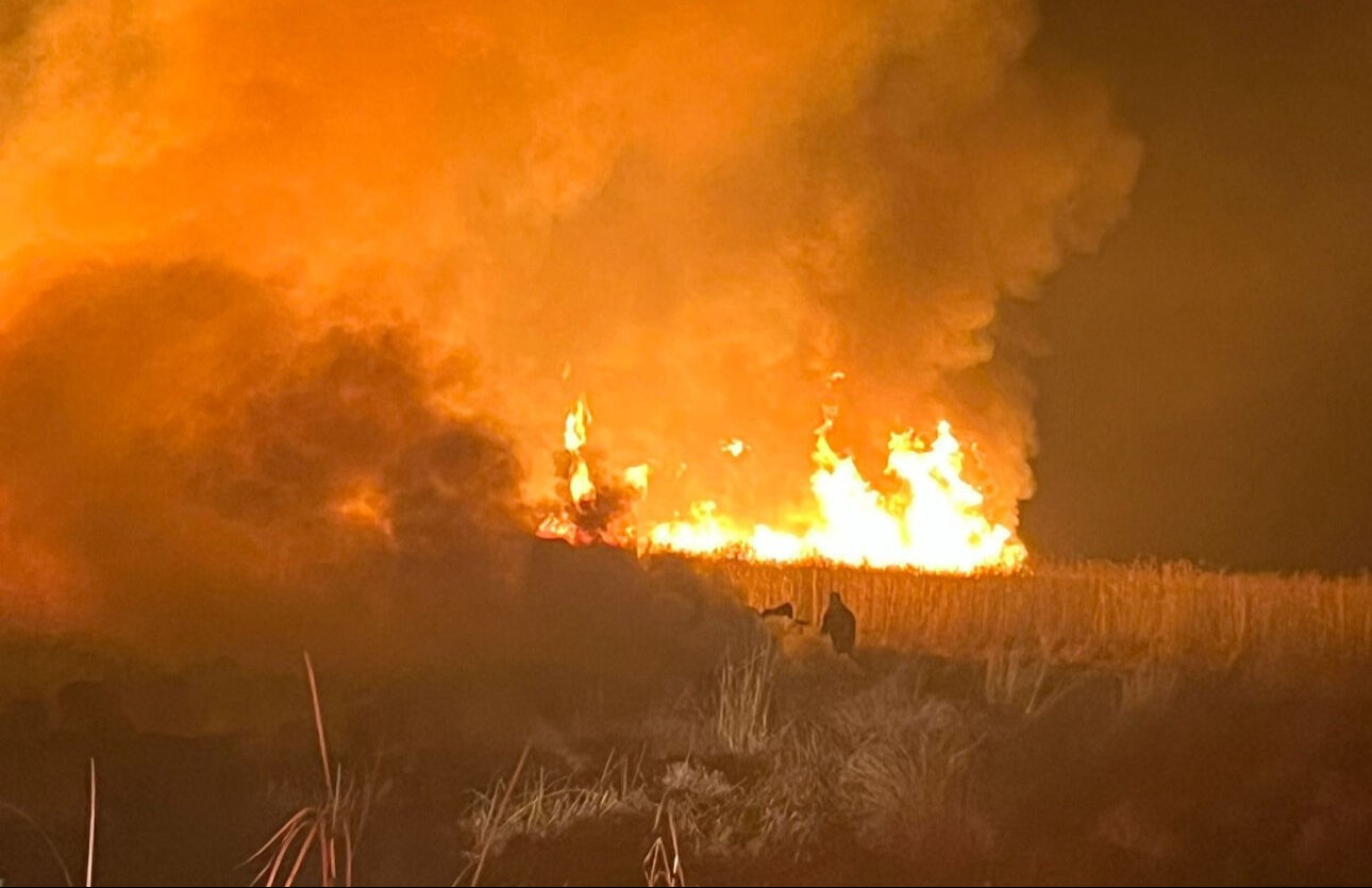 Hakkari 'kuş cenneti'nde korkutan yangın! Ekiplerin müdahalesi devam ediyor Hakkari 'kuş cenneti'nde korkutan yangın! Ekiplerin müdahalesi devam ediyor - 2. Resim