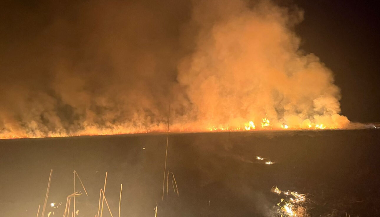 Hakkari 'kuş cenneti'nde korkutan yangın! Ekiplerin müdahalesi devam ediyor Hakkari 'kuş cenneti'nde korkutan yangın! Ekiplerin müdahalesi devam ediyor - 1. Resim