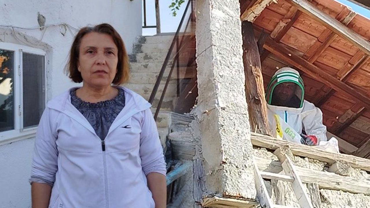 Evin çatısına yuva yapan eşek arıları hastanelik etti, Valilik devreye girdi - 3. Sayfa