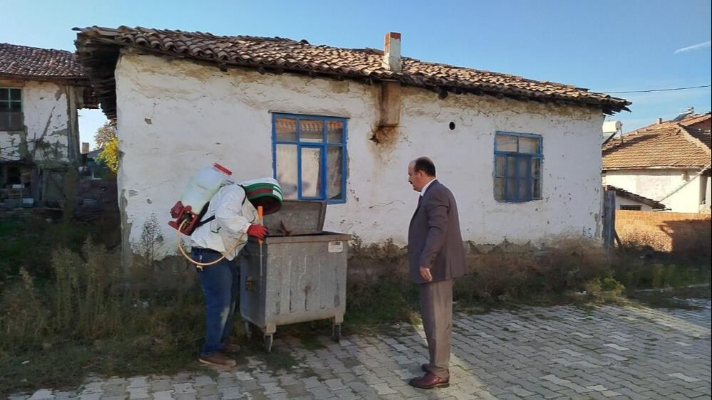 Evin çatısına yuva yapan eşek arıları hastanelik etti, Valilik devreye girdi - 1. Resim