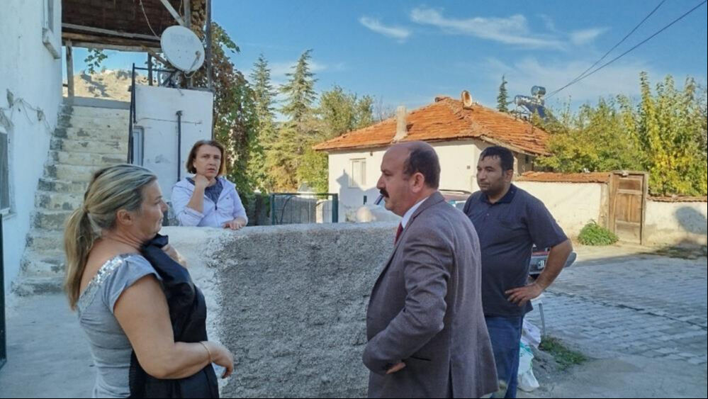 Evin çatısına yuva yapan eşek arıları hastanelik etti, Valilik devreye girdi - 2. Resim