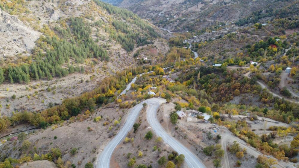 Köylüler 37 yıl önce dikti, o alanlar şimdi orman oldu - 3. Resim
