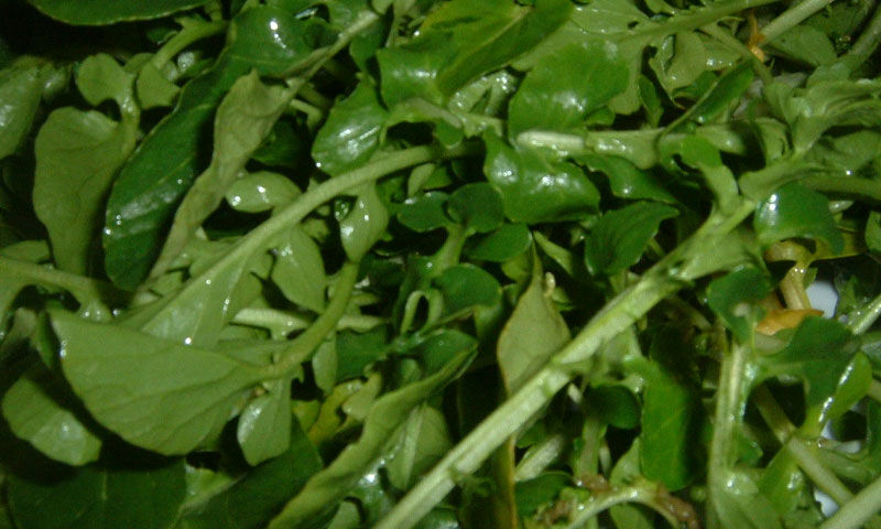 Ne ıspanak, ne lahana, ne brokoli… Dünyanın en sağlıklı sebzesi açıklandı - 3. Resim