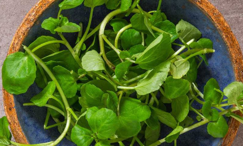 Ne ıspanak, ne lahana, ne brokoli… Dünyanın en sağlıklı sebzesi açıklandı - 2. Resim