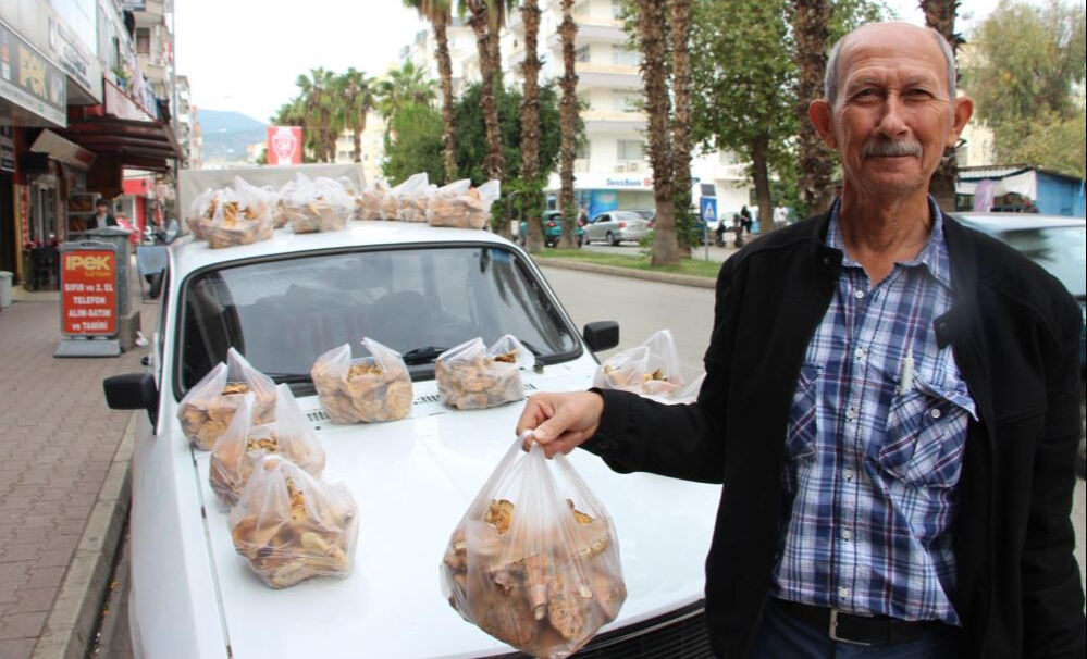 Antalya'da mantar bereketi: Ormanda kendiliğinden yetişiyor, kilosu 500 TL'den alıcı buluyor - 2. Resim