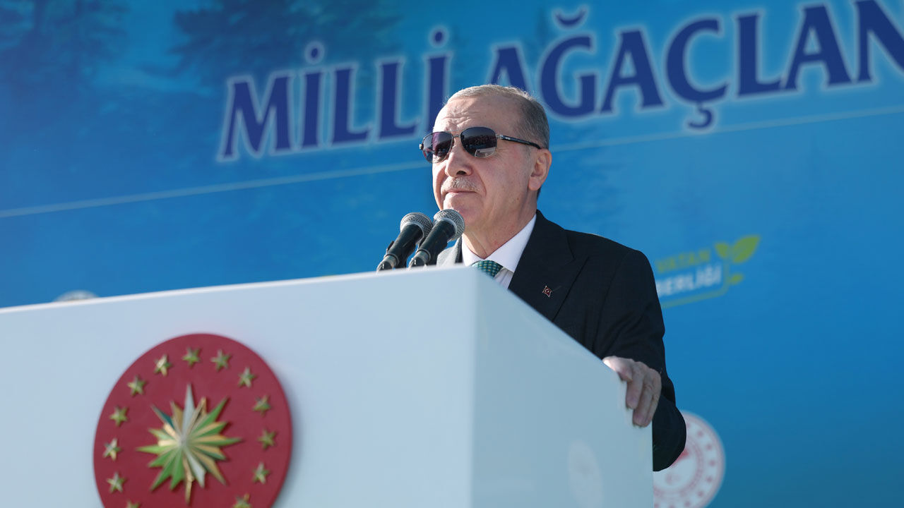 Cumhurbaşkanı Erdoğan: 1 günde fidan dikme rekorunu kıracağız - 2. Resim