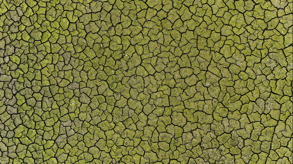 İstanbul'a su sağlayan barajlar alarm veriyor! - 1. Resim