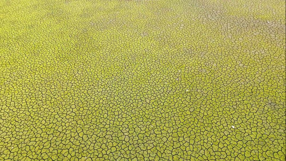 İstanbul'a su sağlayan barajlar alarm veriyor! - 2. Resim