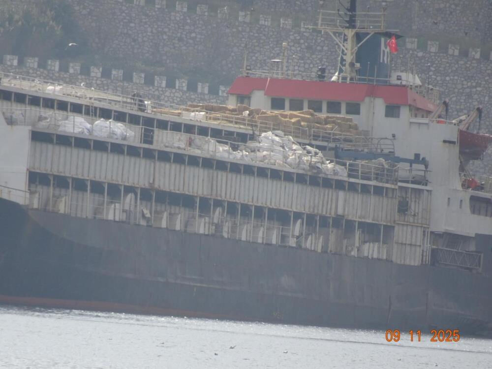 Uruguay'dan Bandırma'ya gelen gemide kriz! Koku ilçeyi kapladı, hayvanlar mahsur kaldı - 3. Resim