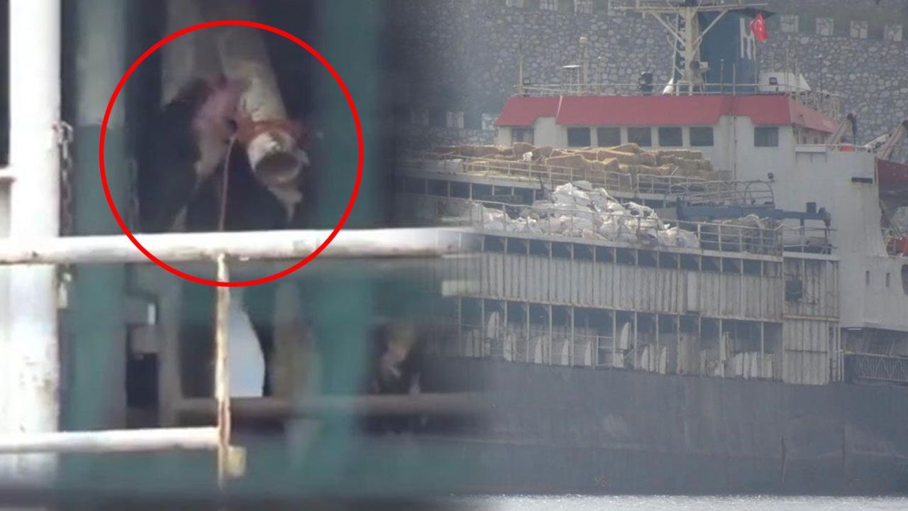  - Susuzluktan gemideki boruları yaladılar!