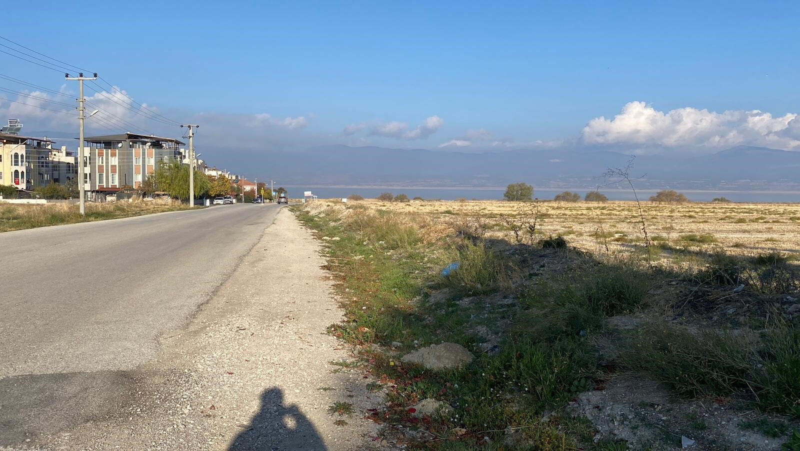 13 yaşındaki kız dehşeti yaşadı! Sokak köpekleri saldırdı, şimdi hastanede - 1. Resim