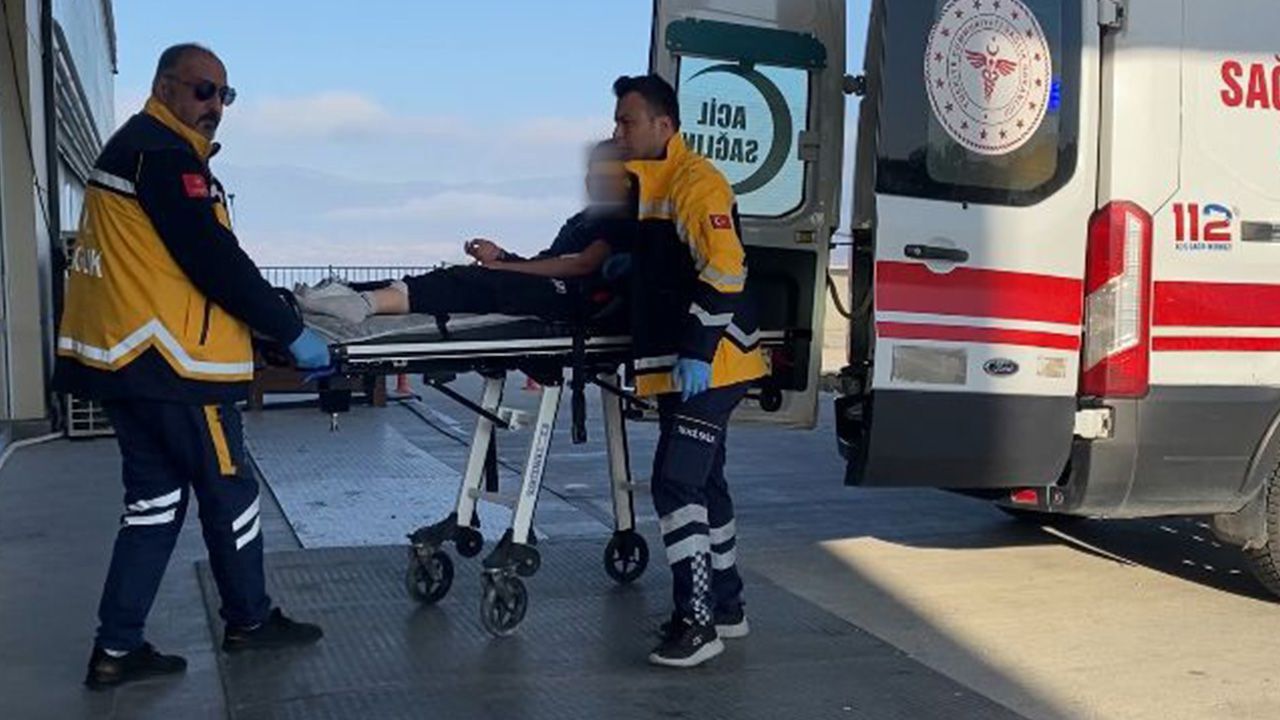 13 yaşındaki kız dehşeti yaşadı! Sokak köpekleri saldırdı, şimdi hastanede - 3. Sayfa