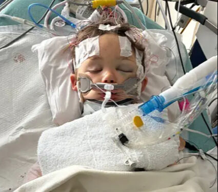 4 yaşındaki çocuğun yürek burkan ölümü! Babasının gözü önünde üzerine 34 metrelik dal düştü 4 yaşındaki çocuğun yürek burkan ölümü! Babasının gözü önünde üzerine 34 metrelik dal düştü - 2. Resim