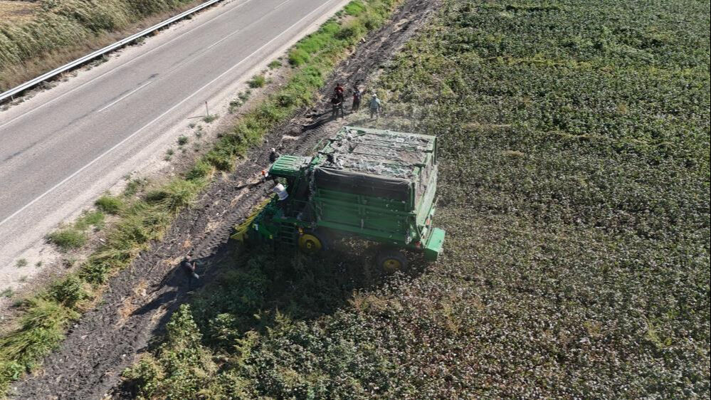 Hatay'da son 65 yılın en kurak yılı, 'beyaz altın' pamuğu vurdu! - 2. Resim