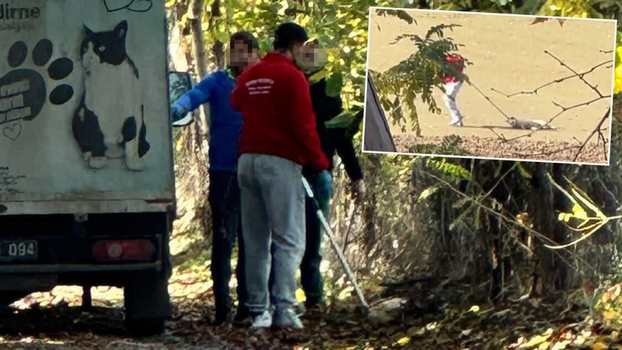  - Köpeğe eziyet görüntüsü sonrası gözaltı