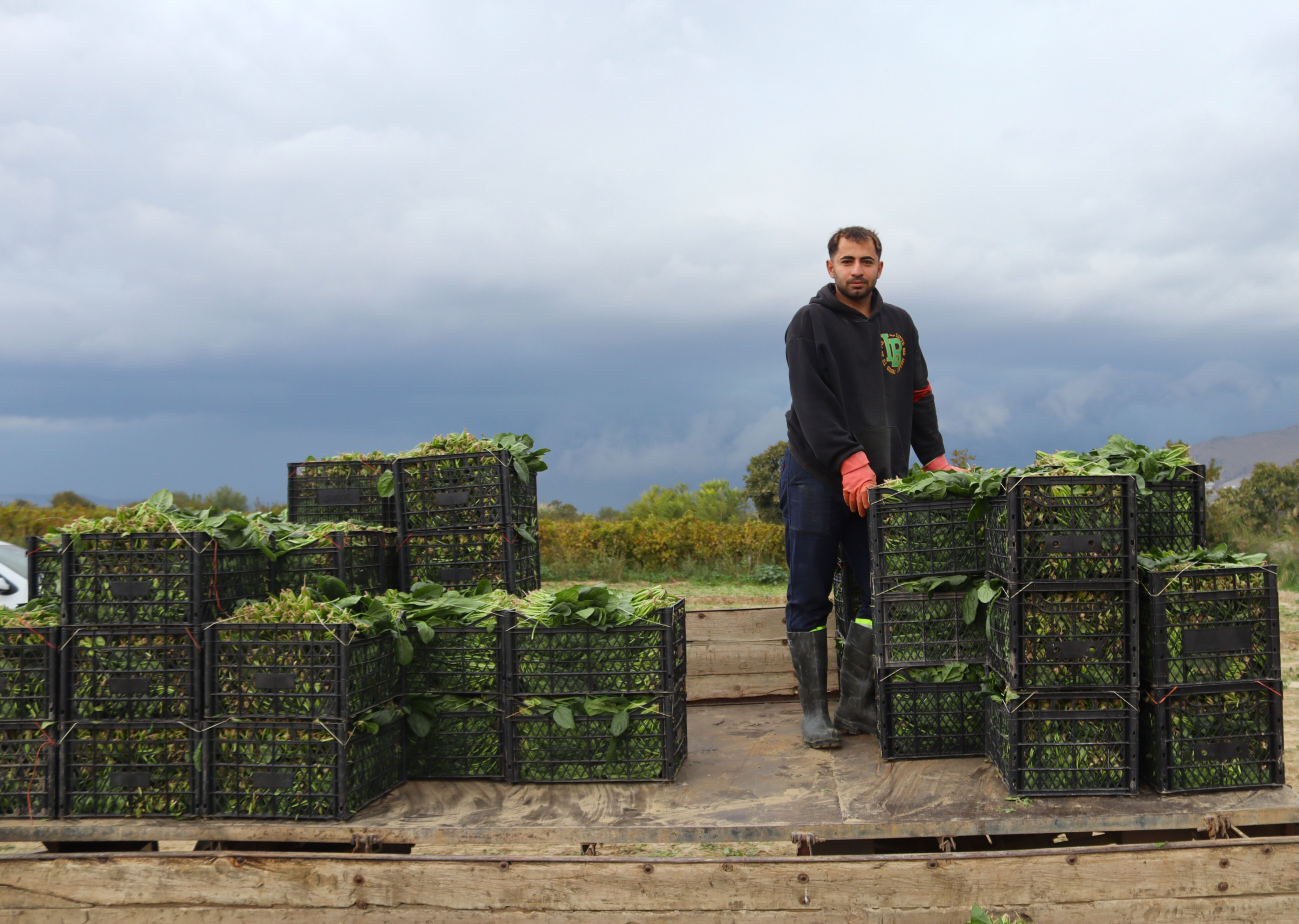 Tarlada 6 markette, 50 lira! Üretici fiyat farkına tepkili - 2. Resim