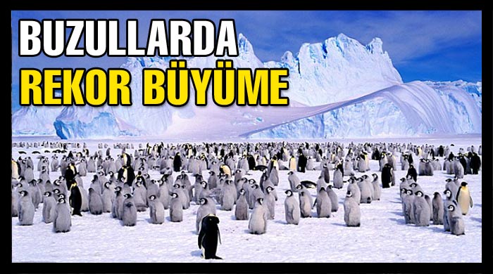 Buzullarda rekor büyüme Buzullarda rekor büyüme