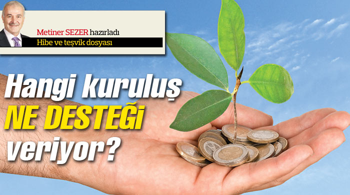 Hangi kuruluş ne desteği veriyor Hangi kuruluş ne desteği veriyor