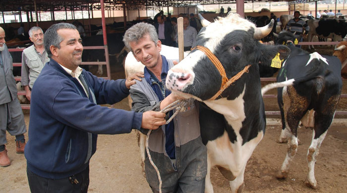 Bayramda, kalpazan mağduru olmayın Bayramda, kalpazan mağduru olmayın