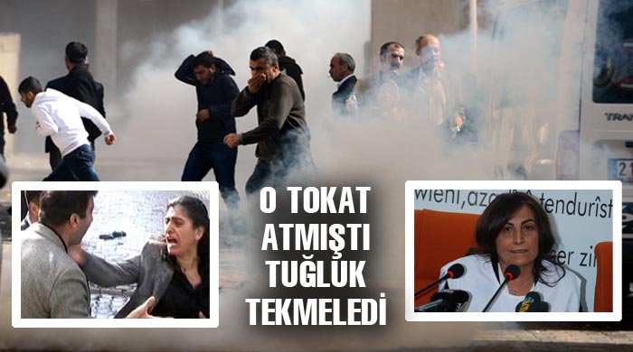 Aysel Tuğluk polisi tekmeledi